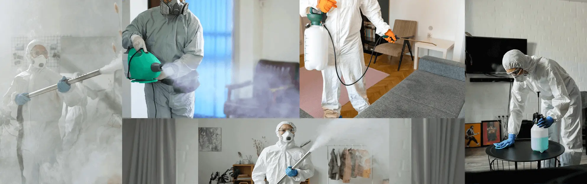 Pest Guard Pest Control Services in Abu Dhabi